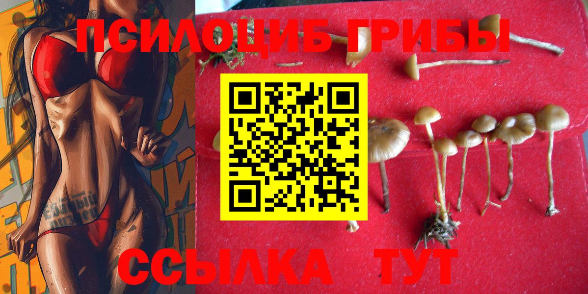 Галлюциногенные грибы MAGIC MUSHROOMS Солнечногорск