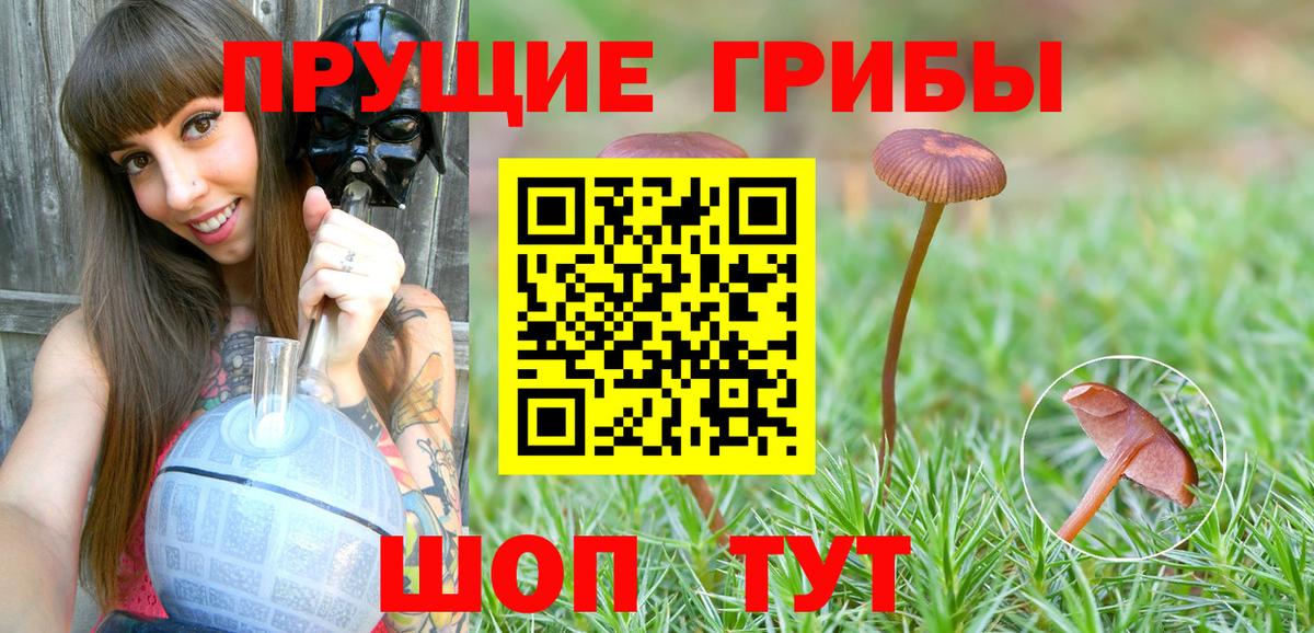 Солнечногорск  Псилоцибиновые грибы мицелий  Вход с VPN 